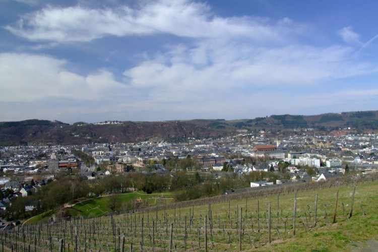 View of Trier and its wineyards