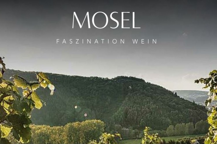 Weitere Weinveranstaltungen im Anbaugebiet - © Weinland Mosel e.V.