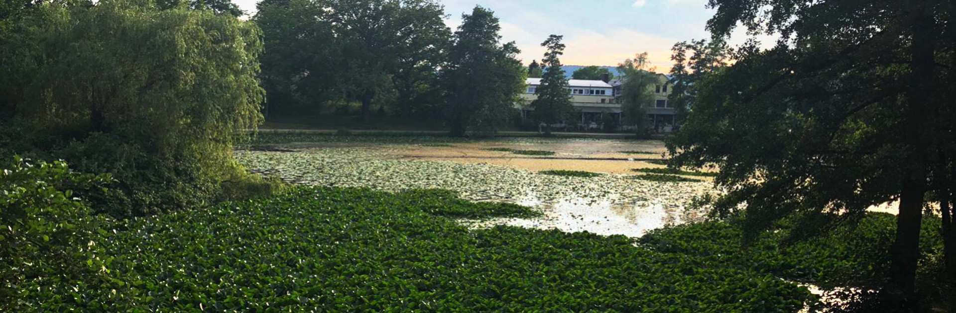 St Matthew's Lake (Mattheiser Weiher)
