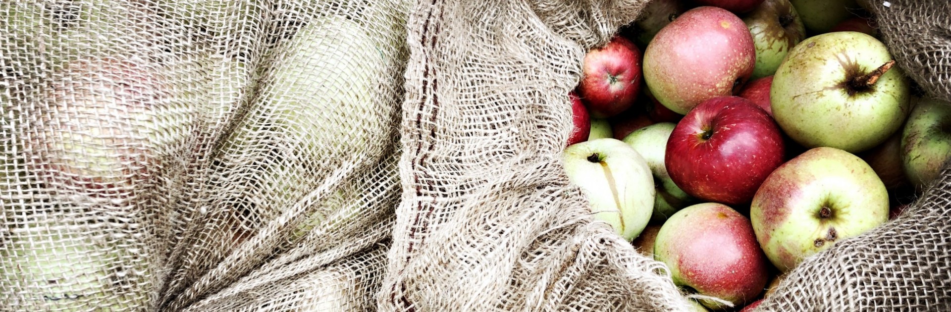 Cider apples in sacks - © Andreas Scherf