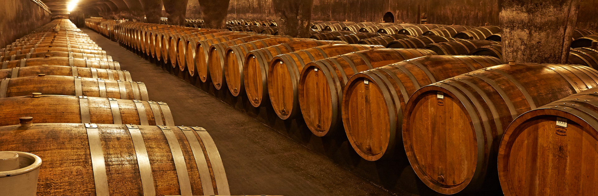 Weinfässer im Weinkeller der Bischöflichen Weingüter - © Bischöfliche Weingüter
