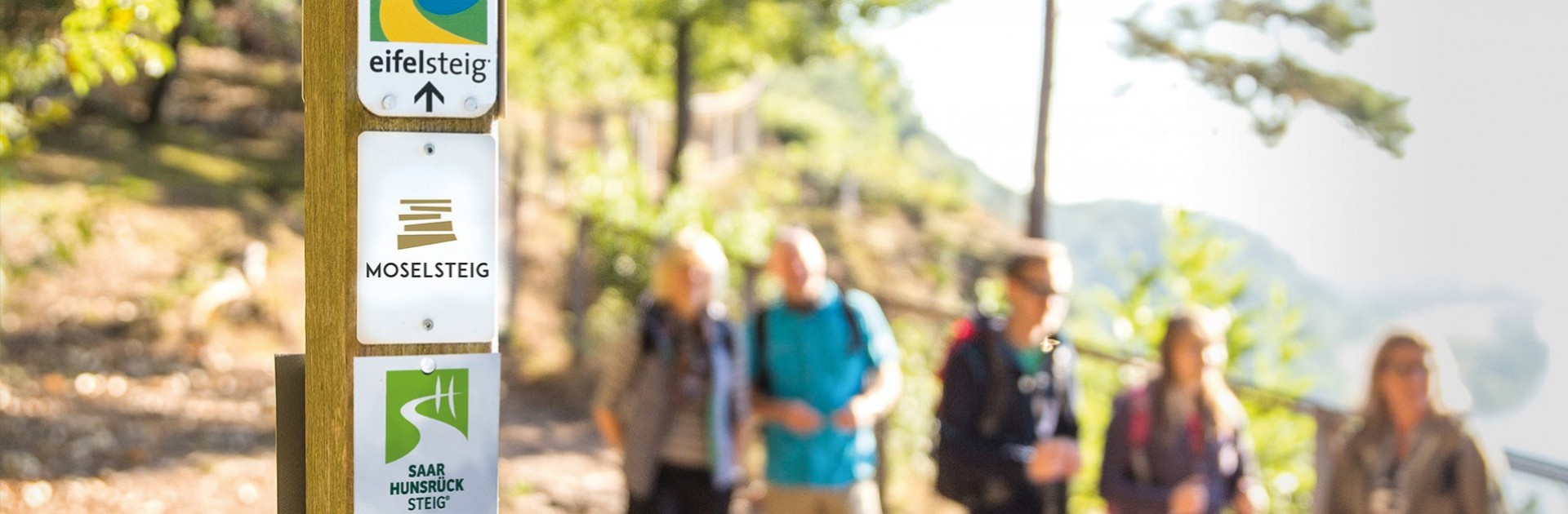 A group of hikers on the Moselsteig trail