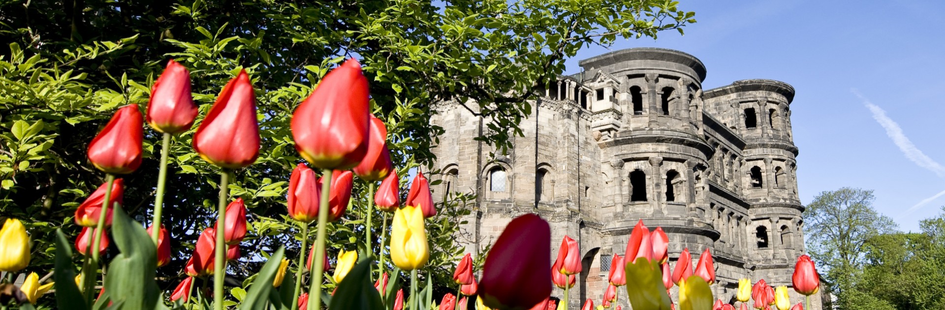 Tulips in front of the Porta Nigra in Trier - &copy; Trier Tourismus und Marketing GmbH