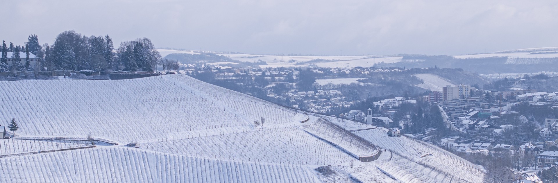 Der Petrisberg und seine Weinberge im Schnee, von einer Drohne aufgenommen. - © Trier Tourismus und Marketing GmbH/Victor Beusch