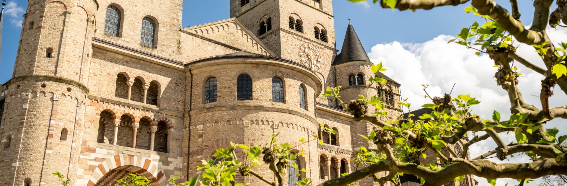 Die Front des Trierer Doms vor einem strahlend blauen Himmel, von links aus aufgenommen. Ein Platanenzweig ragt ins Bild und rahmt es dadurch. - &copy; Trier Tourismus und Marketing GmbH_Dominik Ketz