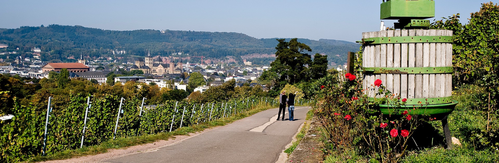 Weinberg Dom Trier Panorama