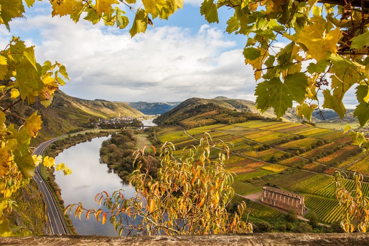 View onto the Moselle valley - © Alice-D/shutterstock.com