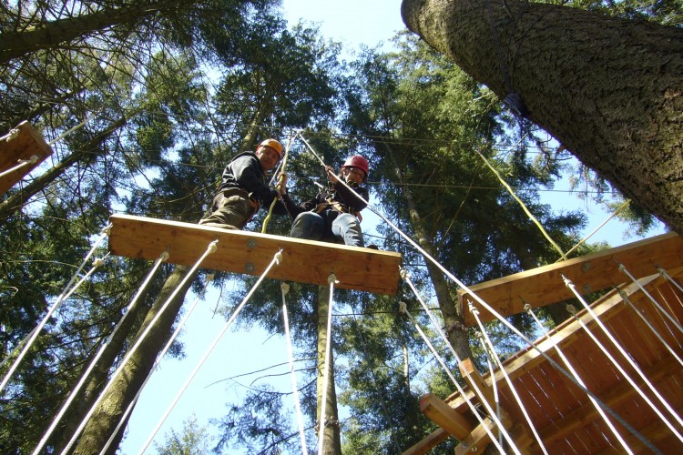 Climbing High rope Course