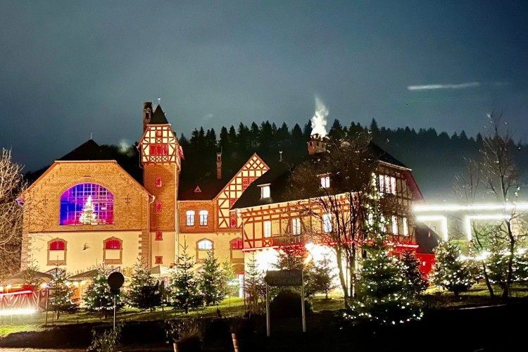 Weihnachtswald Gut Avelsbach (© Gut Avelsbach)