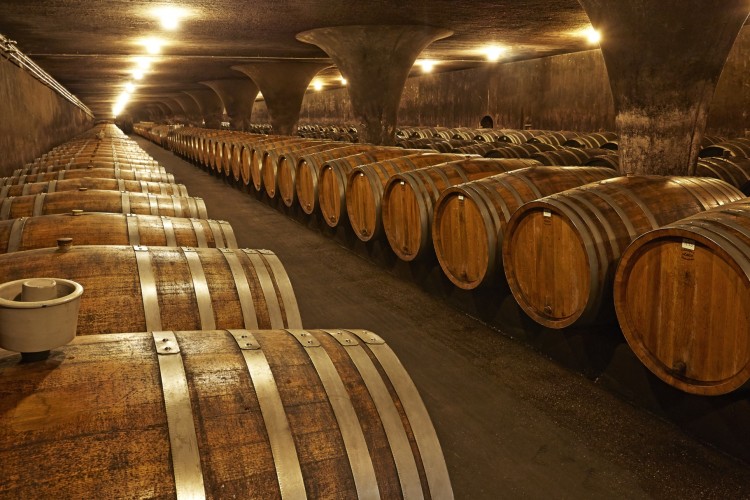 Ein Blick in den Weinkeller der Bischöflichen Weingüter mit den langen Reihen gewaltiger Holzfässer. - © Bischöfliche Weingüter