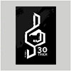 30 für Trier Logo